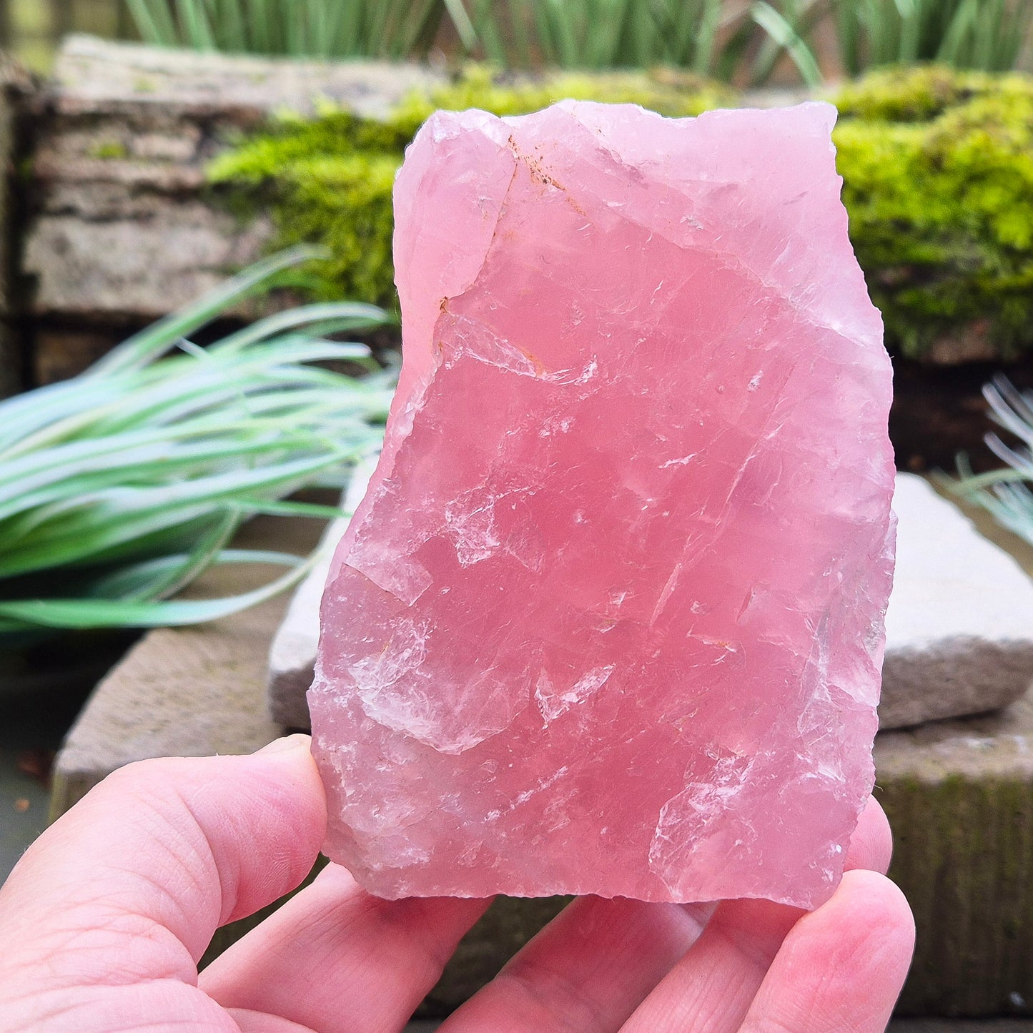 Rose Quartz Crystal, Natural, from Namibia, Africa. Lovely pink colouring, will self stand upright or on its side on an even surface.