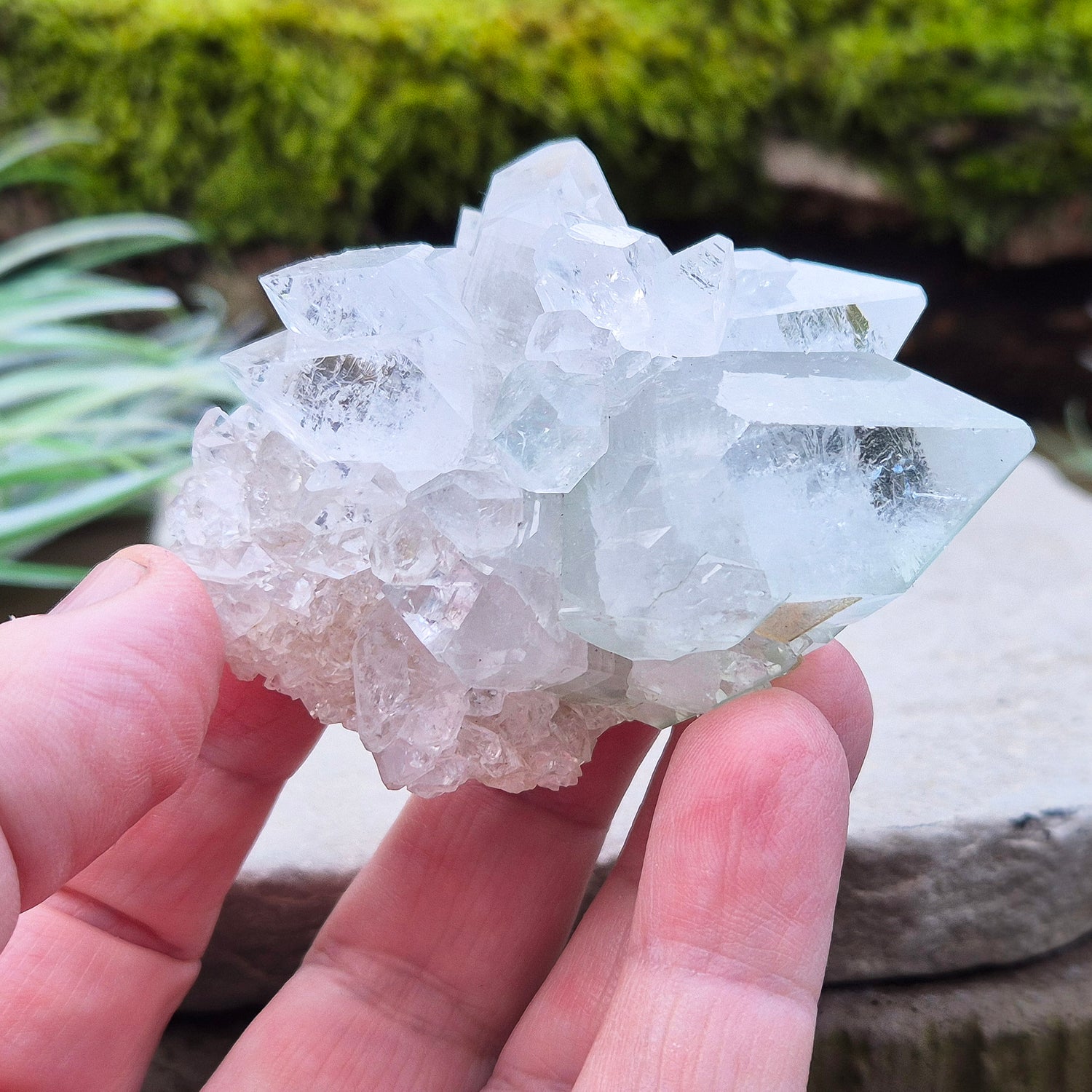 Apophyllite Crystal Cluster From India. Great quality crystal clear Apophyllite crystal formations in this cluster, the larger point has a light green 'tint' to it