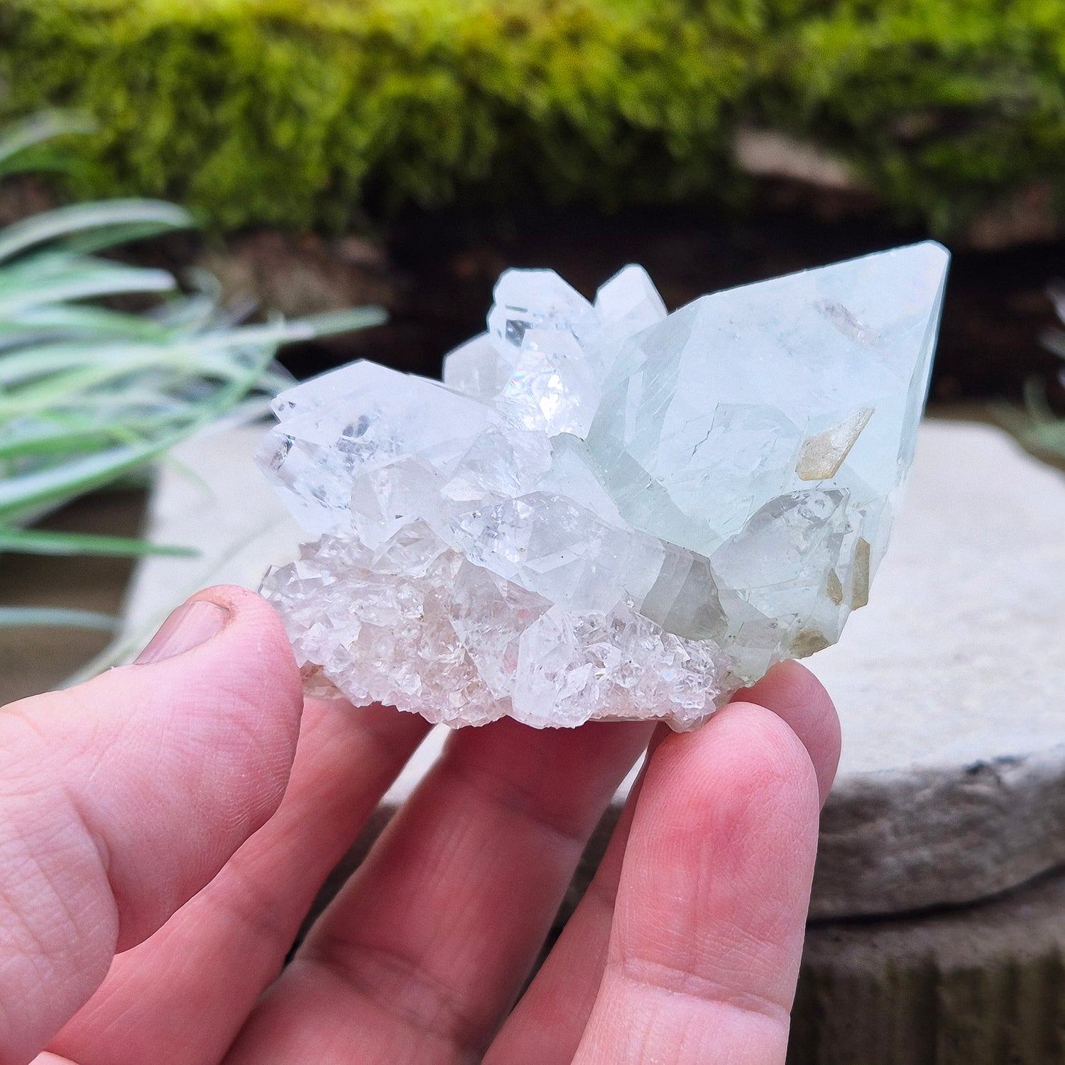 Apophyllite Crystal Cluster From India. Great quality crystal clear Apophyllite crystal formations in this cluster, the larger point has a light green 'tint' to it