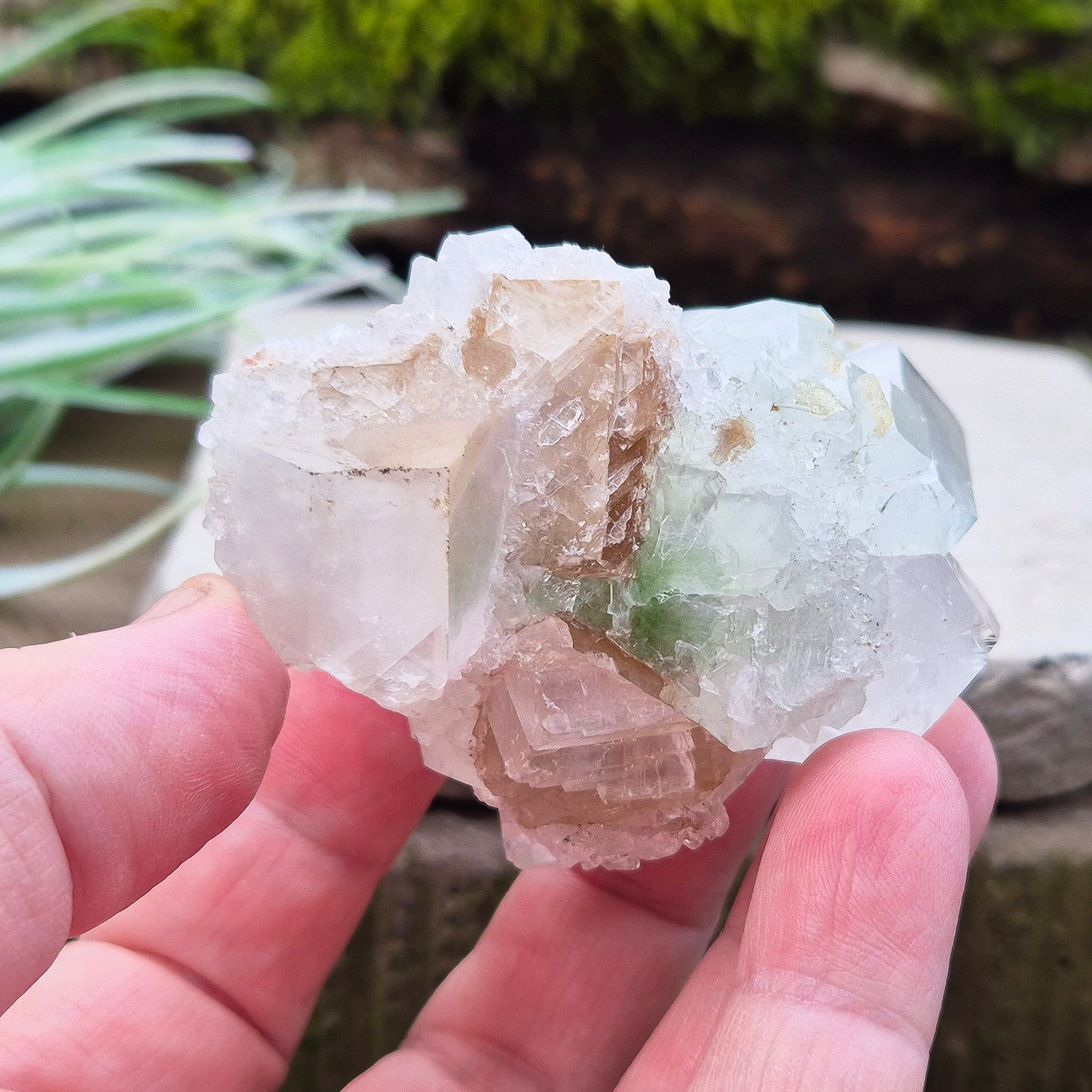 Apophyllite Crystal Cluster From India. Great quality crystal clear Apophyllite crystal formations in this cluster, the larger point has a light green 'tint' to it