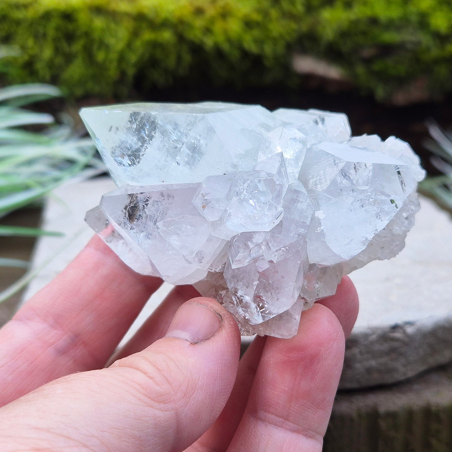 Apophyllite Crystal Cluster From India. Great quality crystal clear Apophyllite crystal formations in this cluster, the larger point has a light green 'tint' to it