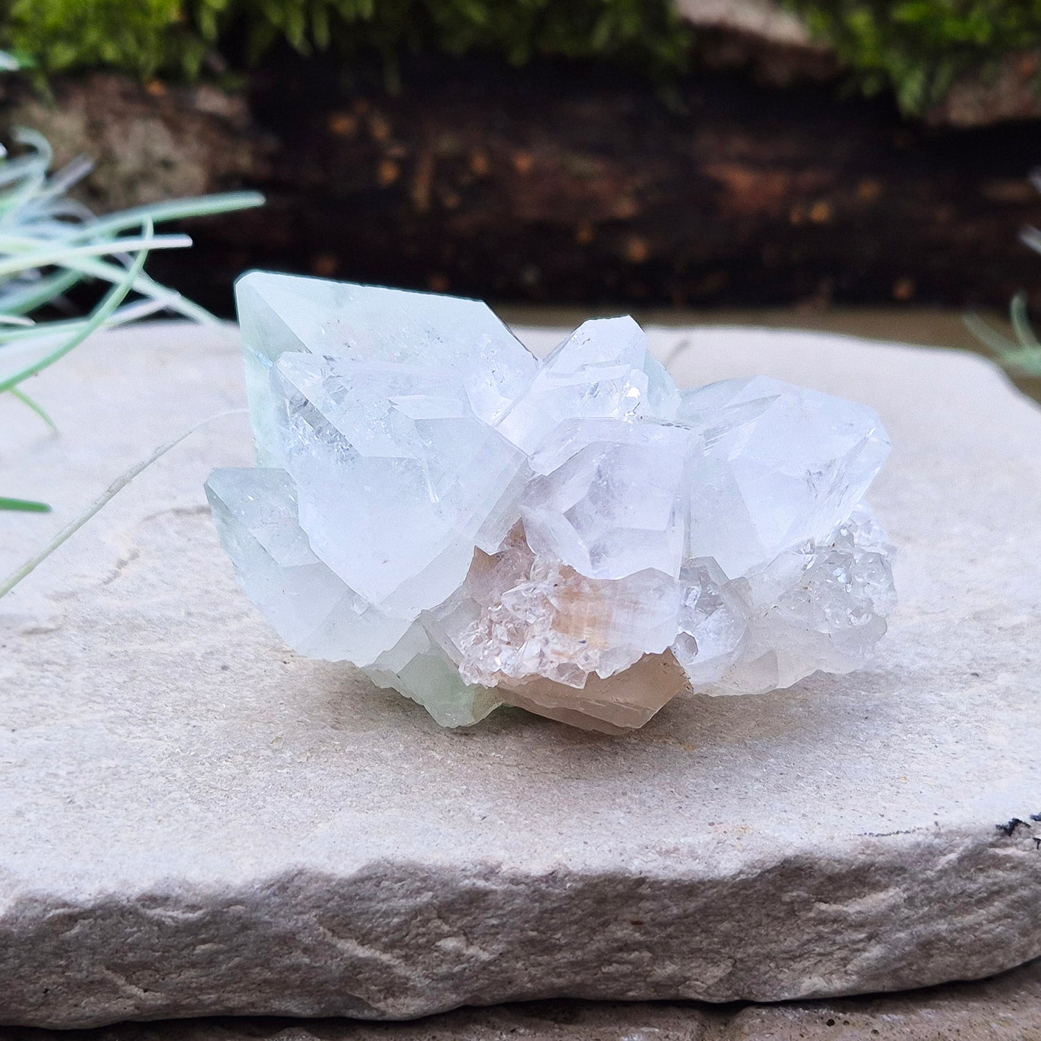 Apophyllite Crystal Cluster From India. Great quality crystal clear Apophyllite crystal formations in this cluster, the larger point has a light green 'tint' to it