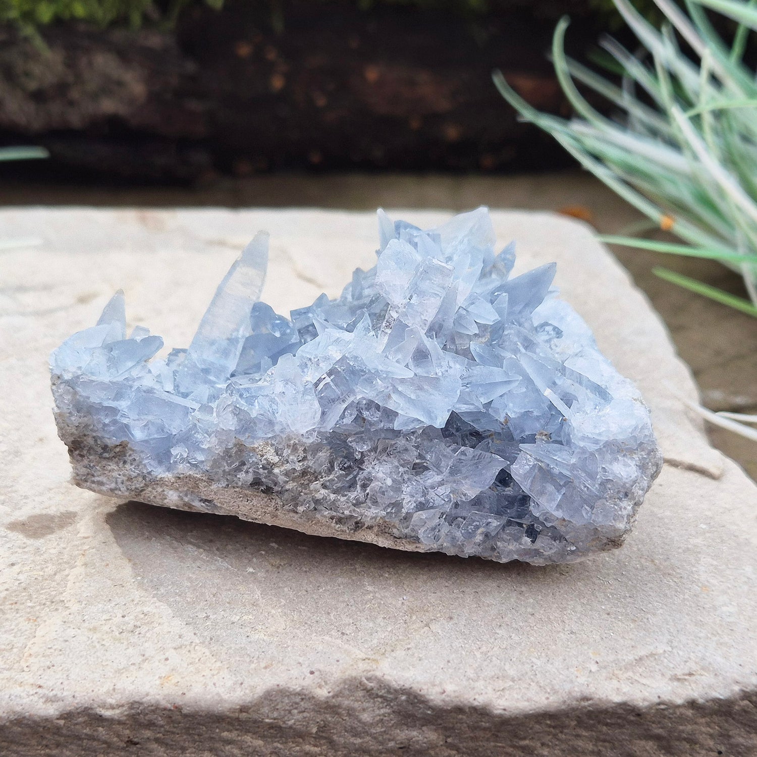 Celestite Crystal Cluster from Madagascar. This cluster has lovely sparkling pale ice blue celestite crystals on its base matrix