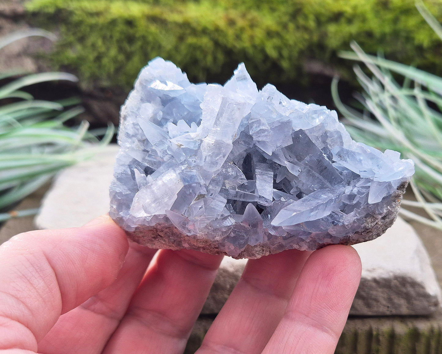 Celestite Crystal Cluster from Madagascar. This cluster has lovely sparkling pale ice blue celestite crystals on its base matrix