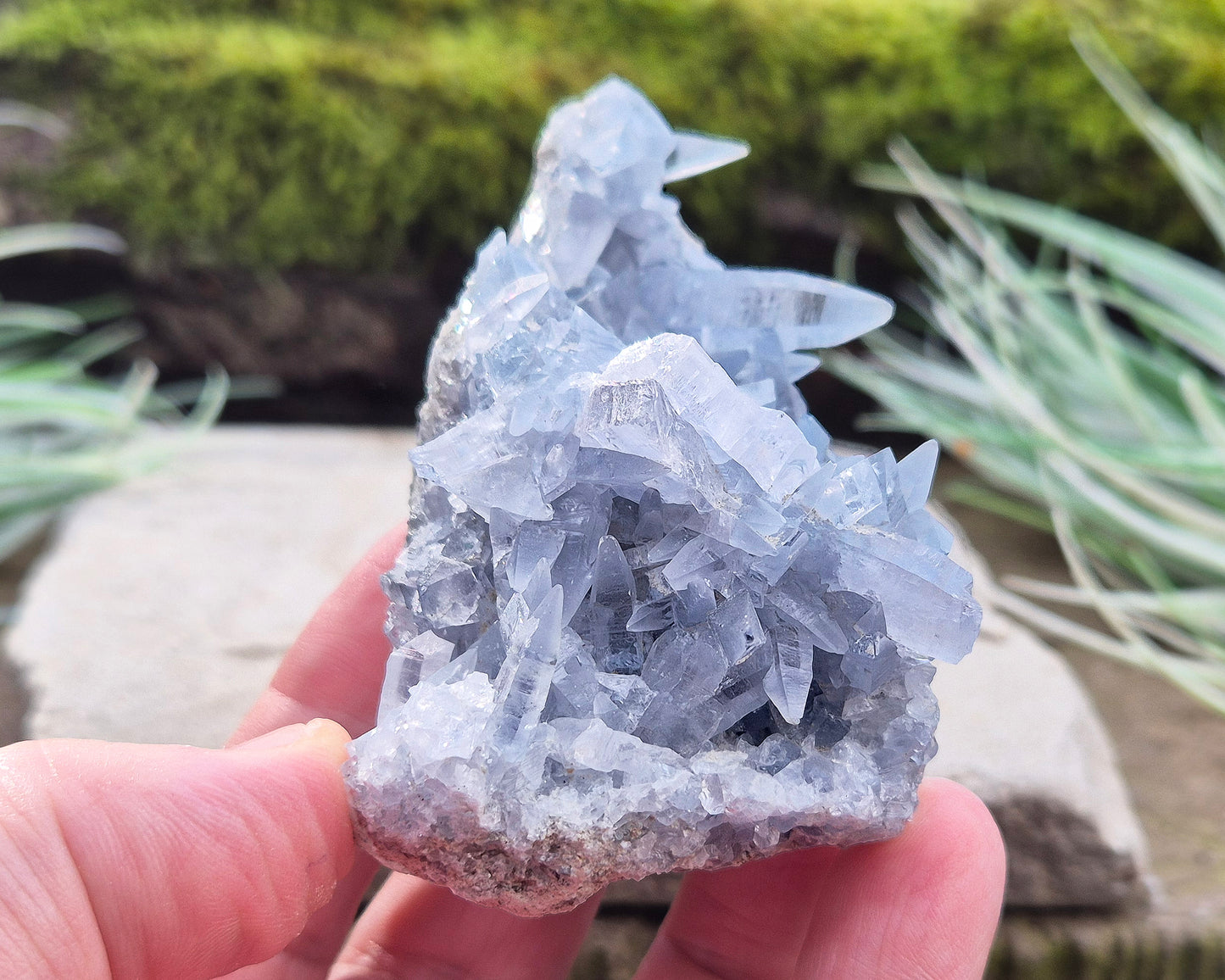 Celestite Crystal Cluster from Madagascar. This cluster has lovely sparkling pale ice blue celestite crystals on its base matrix