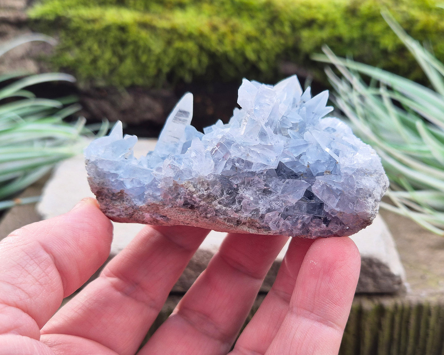 Celestite Crystal Cluster from Madagascar. This cluster has lovely sparkling pale ice blue celestite crystals on its base matrix