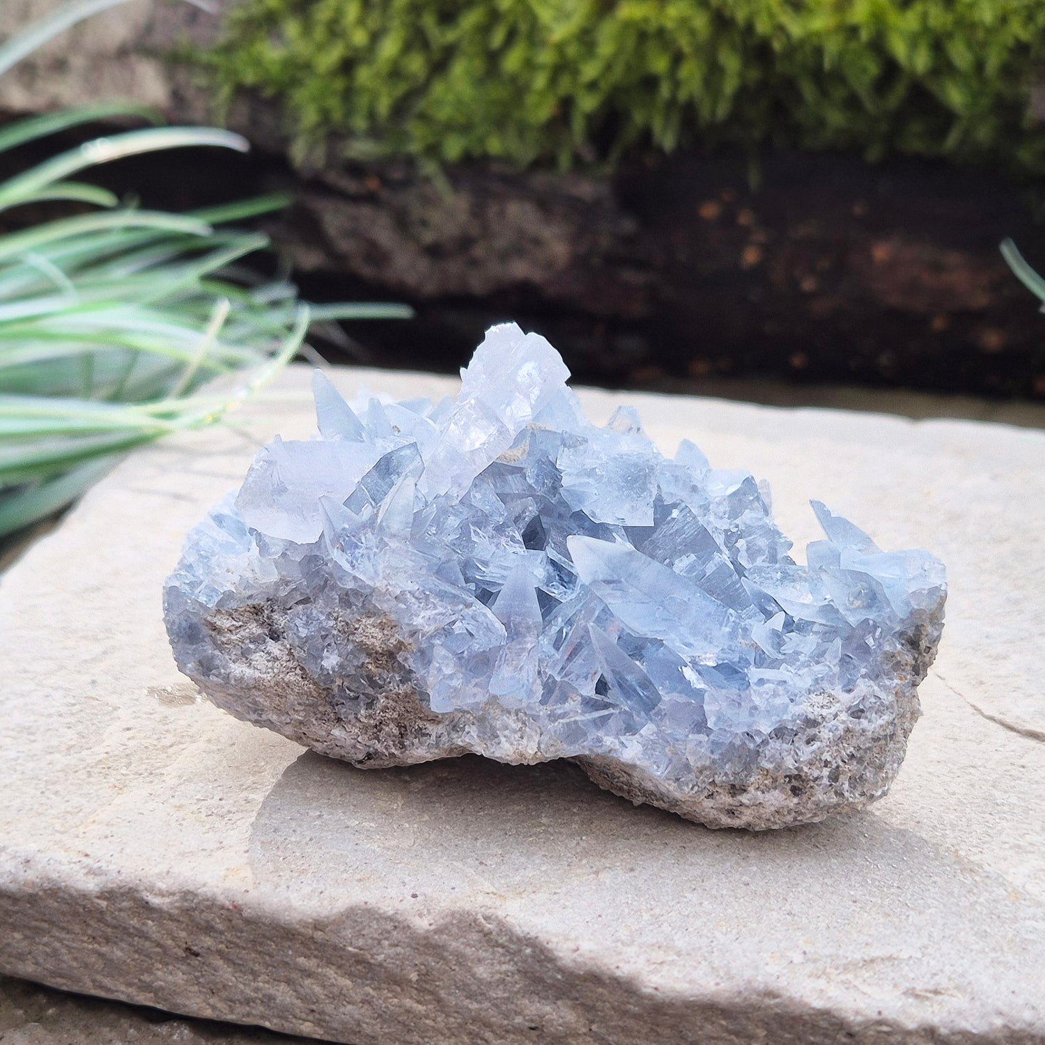 Celestite Crystal Cluster from Madagascar. This cluster has lovely sparkling pale ice blue celestite crystals on its base matrix