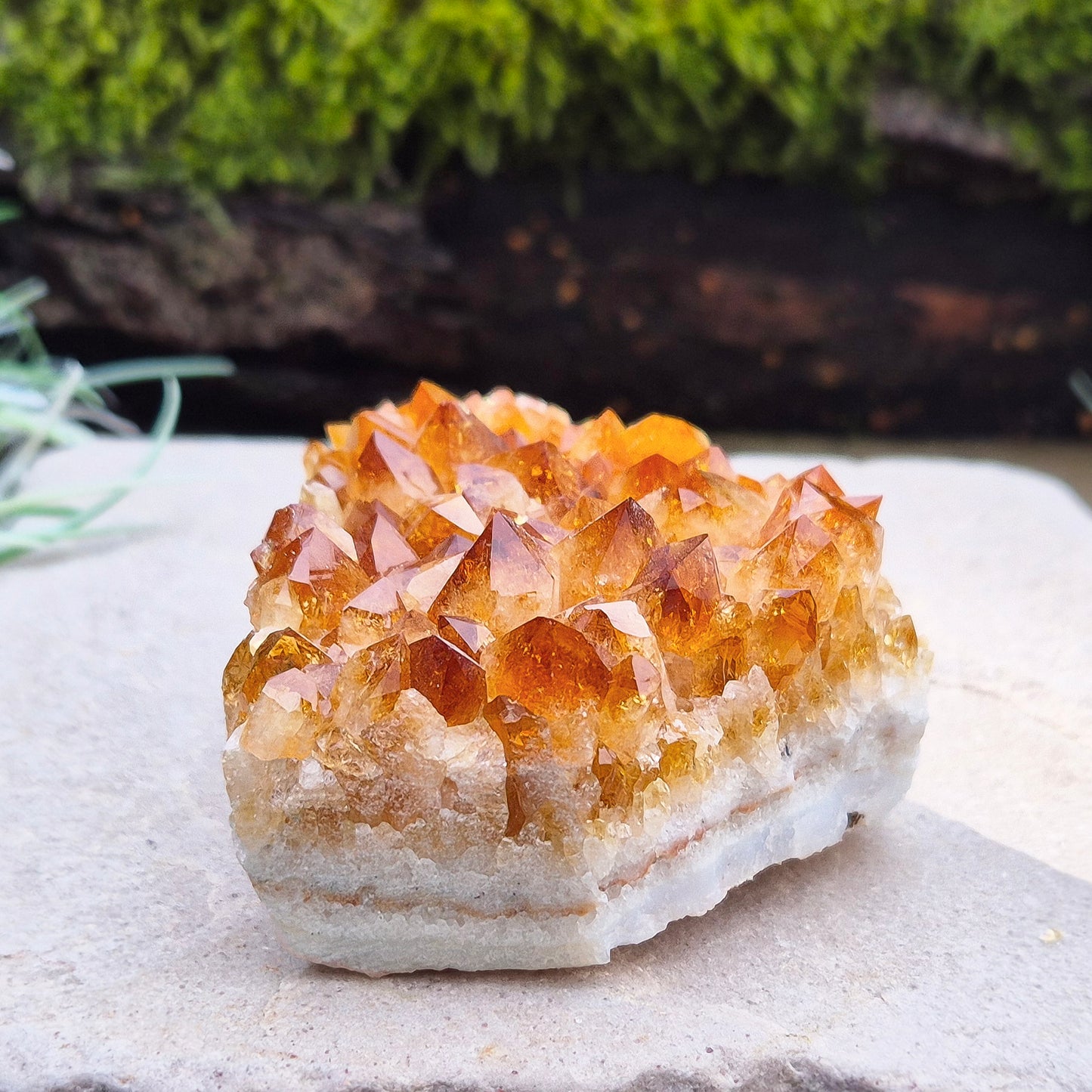 Citrine Crystal Cluster, Natural. From Brazil. Wonderful mid tone orange points on an even base which is even enough to sit on a flat surface.