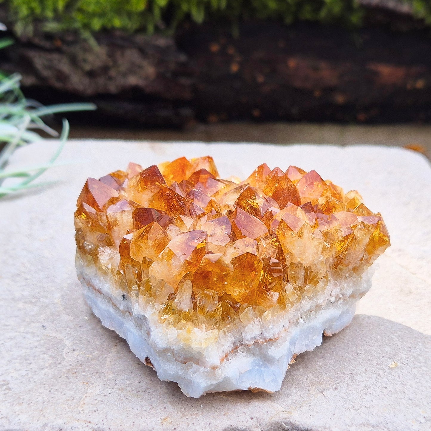 Citrine Crystal Cluster, Natural. From Brazil. Wonderful mid tone orange points on an even base which is even enough to sit on a flat surface.