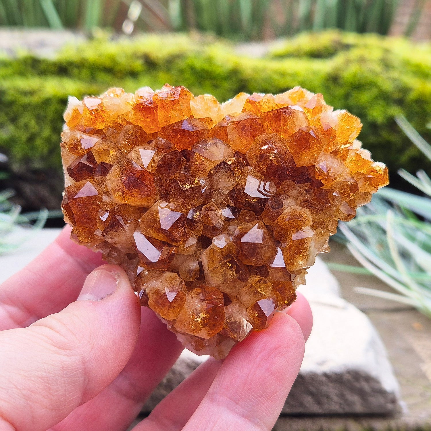 Citrine Crystal Cluster, Natural. From Brazil. Wonderful mid tone orange points on an even base which is even enough to sit on a flat surface.