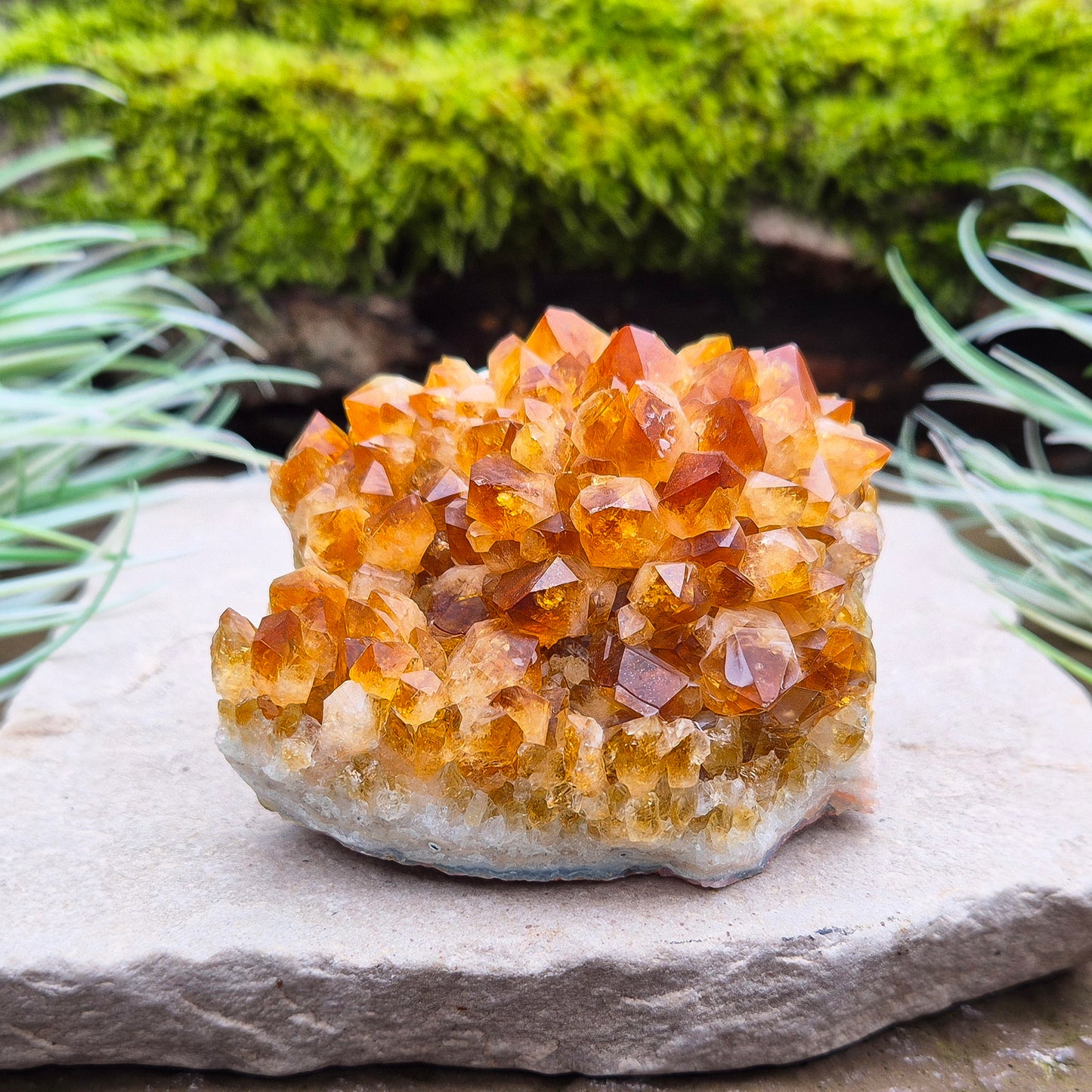 Citrine Crystal Cluster, Natural. From Brazil. Wonderful mid tone orange points on slightly curved base, will sit on an even surface.