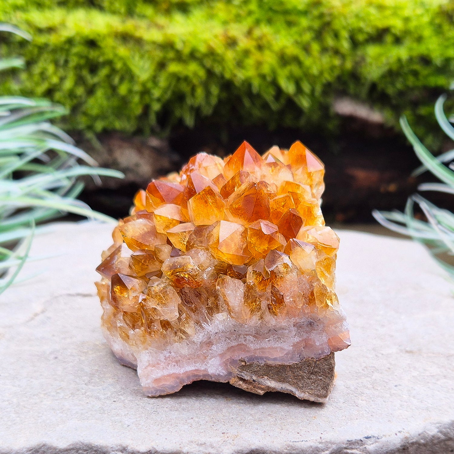 Citrine Crystal Cluster, Natural. From Brazil. Wonderful mid tone orange points on slightly curved base, will sit on an even surface.