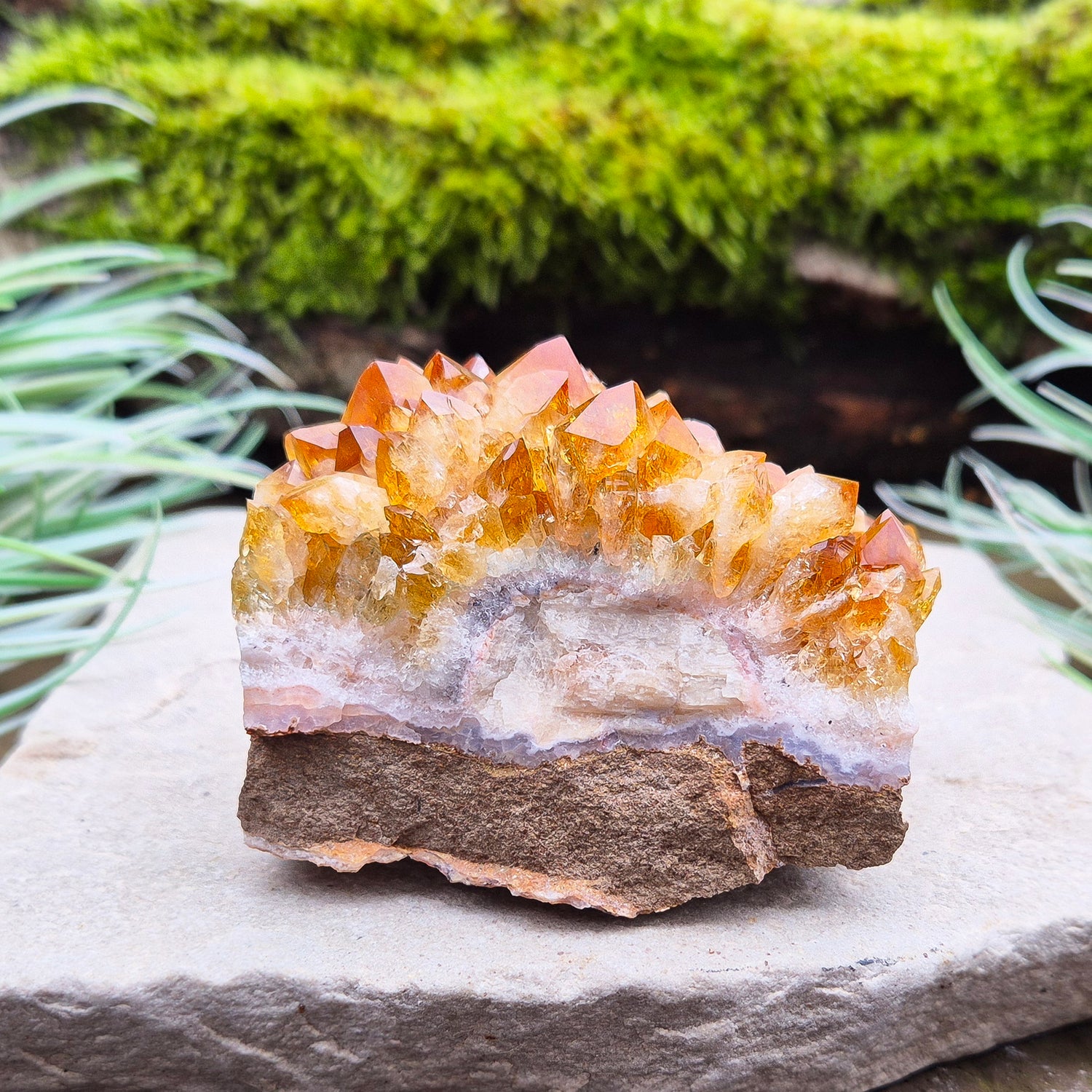 Citrine Crystal Cluster, Natural. From Brazil. Wonderful mid tone orange points on slightly curved base, will sit on an even surface.