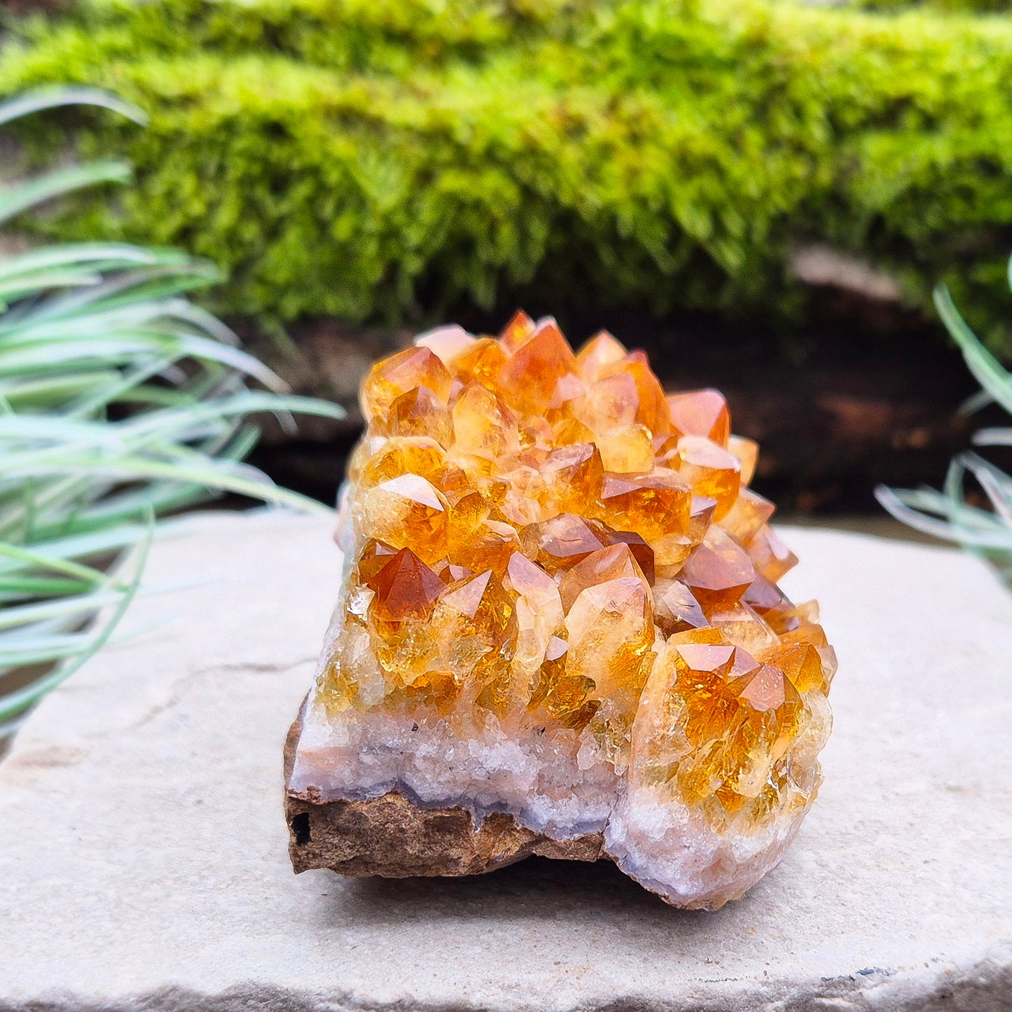 Citrine Crystal Cluster, Natural. From Brazil. Wonderful mid tone orange points on slightly curved base, will sit on an even surface.