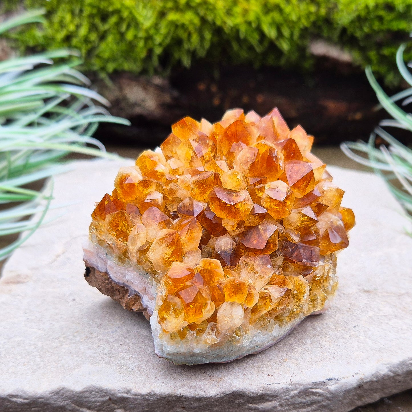 Citrine Crystal Cluster, Natural. From Brazil. Wonderful mid tone orange points on slightly curved base, will sit on an even surface.