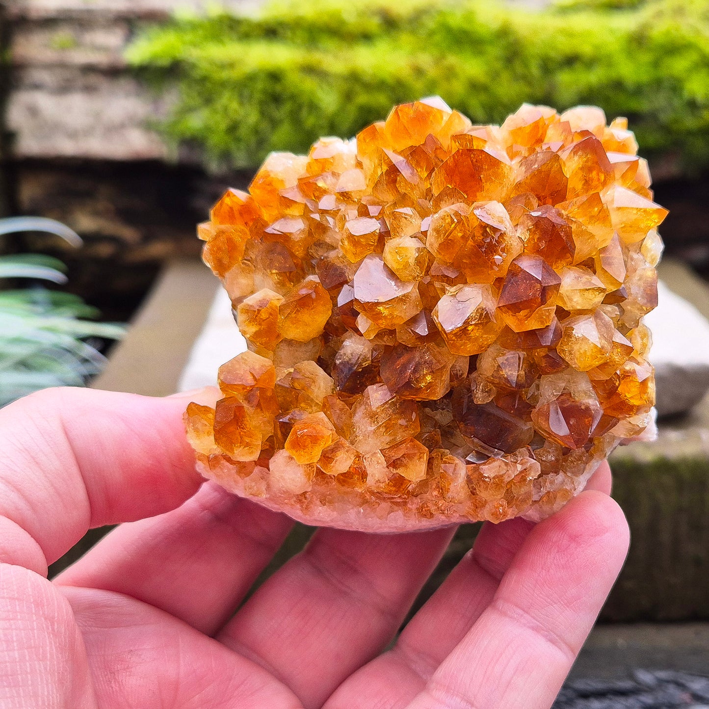 Citrine Crystal Cluster, Natural. From Brazil. Wonderful mid tone orange points on slightly curved base, will sit on an even surface.