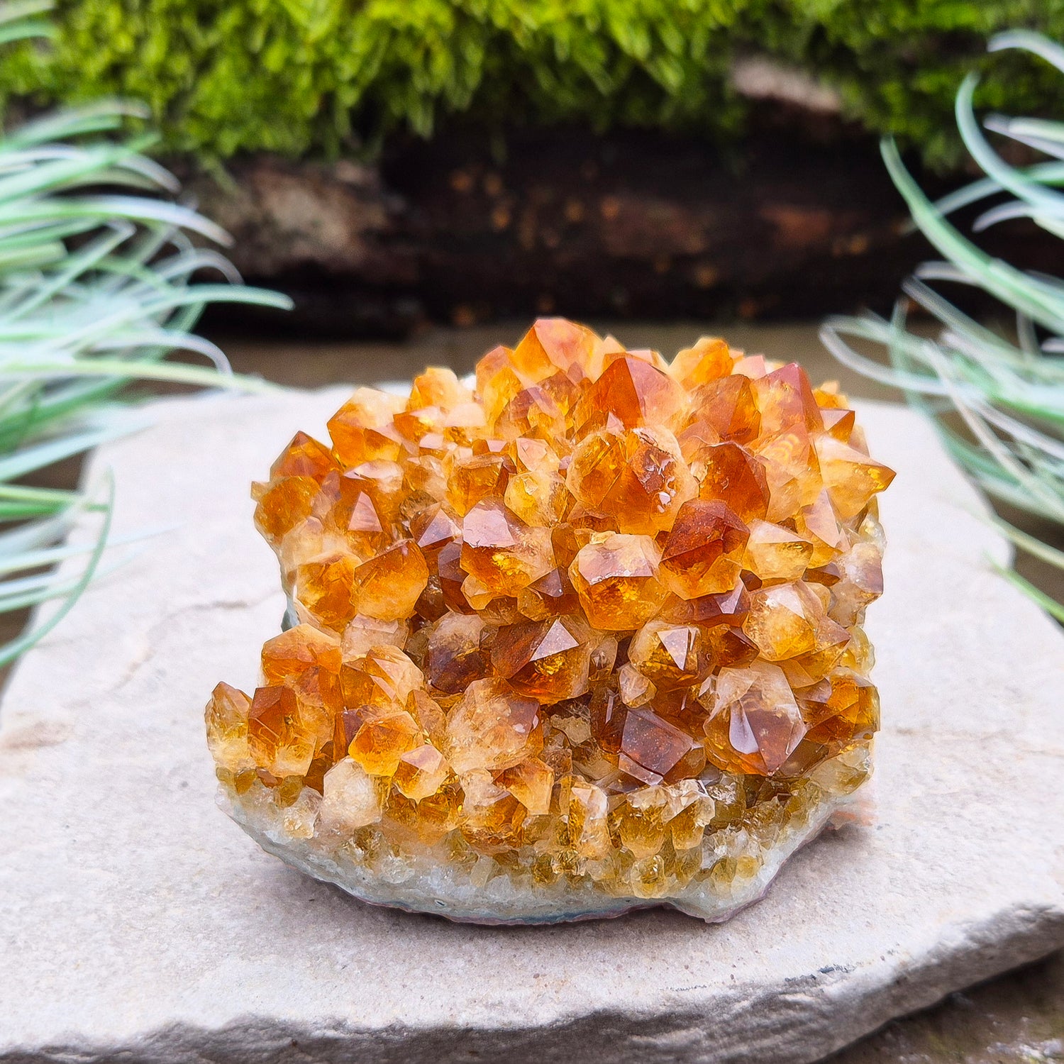 Citrine Crystal Cluster, Natural. From Brazil. Wonderful mid tone orange points on slightly curved base, will sit on an even surface.