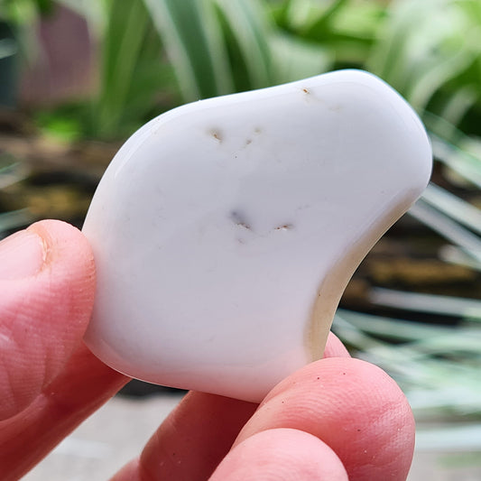 Smooth, milky-white Bohemian Cacholong Opal from the Czech Republic with a soft, pearly sheen, valued for its calming energy and rarity. Its creamy color with hints of gray promotes serenity, balance, and emotional healing.