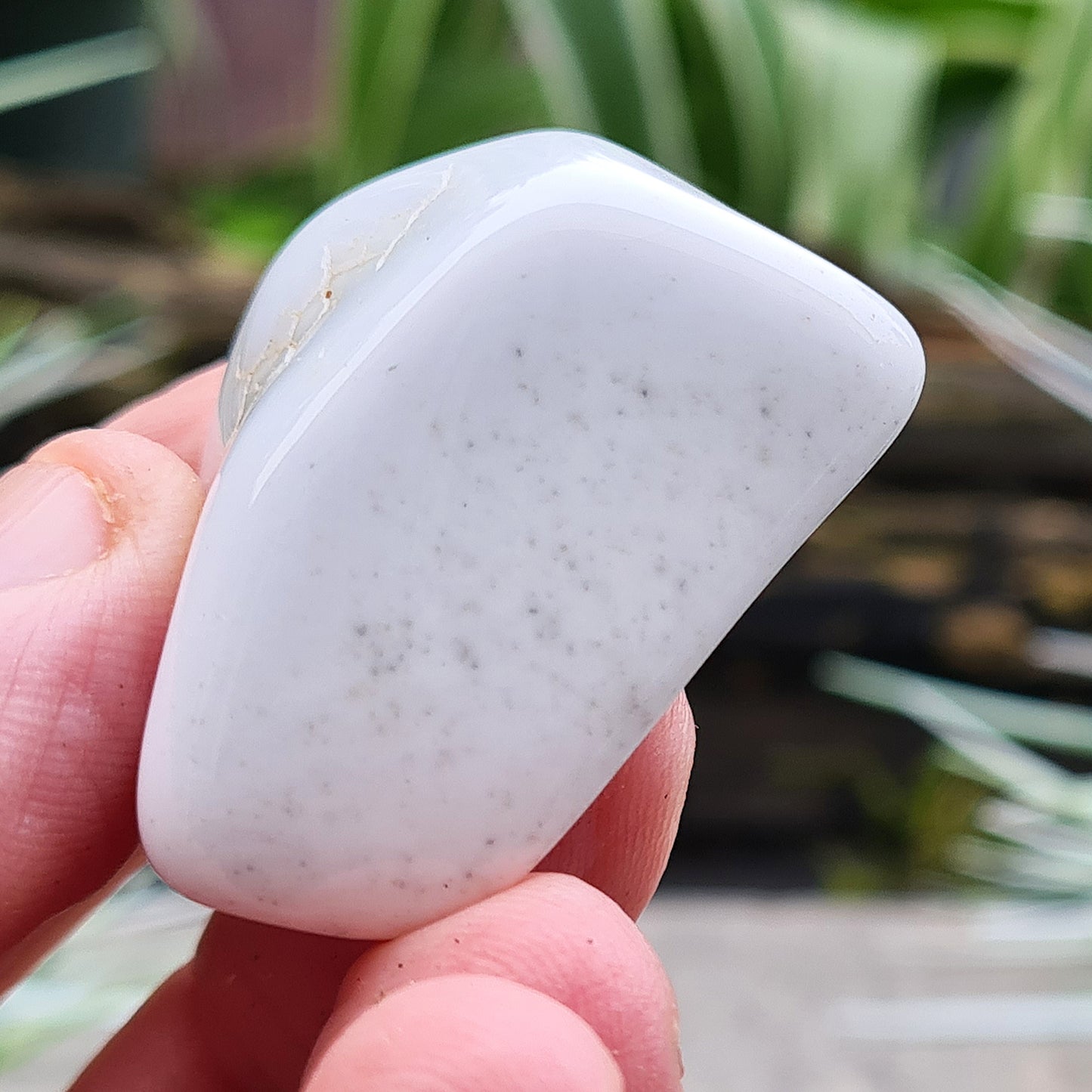 Rare Bohemian Cacholong Opal, creamy white with a pearly sheen, valued for its calming energy and serene beauty.