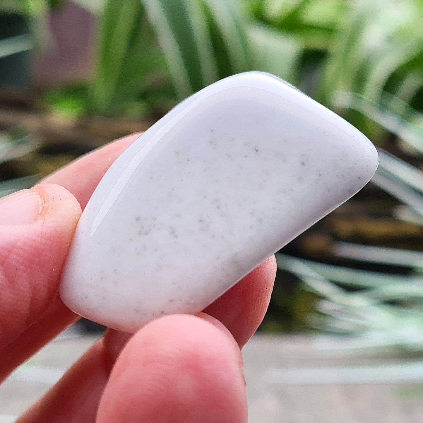 Rare Bohemian Cacholong Opal, creamy white with a pearly sheen, valued for its calming energy and serene beauty.