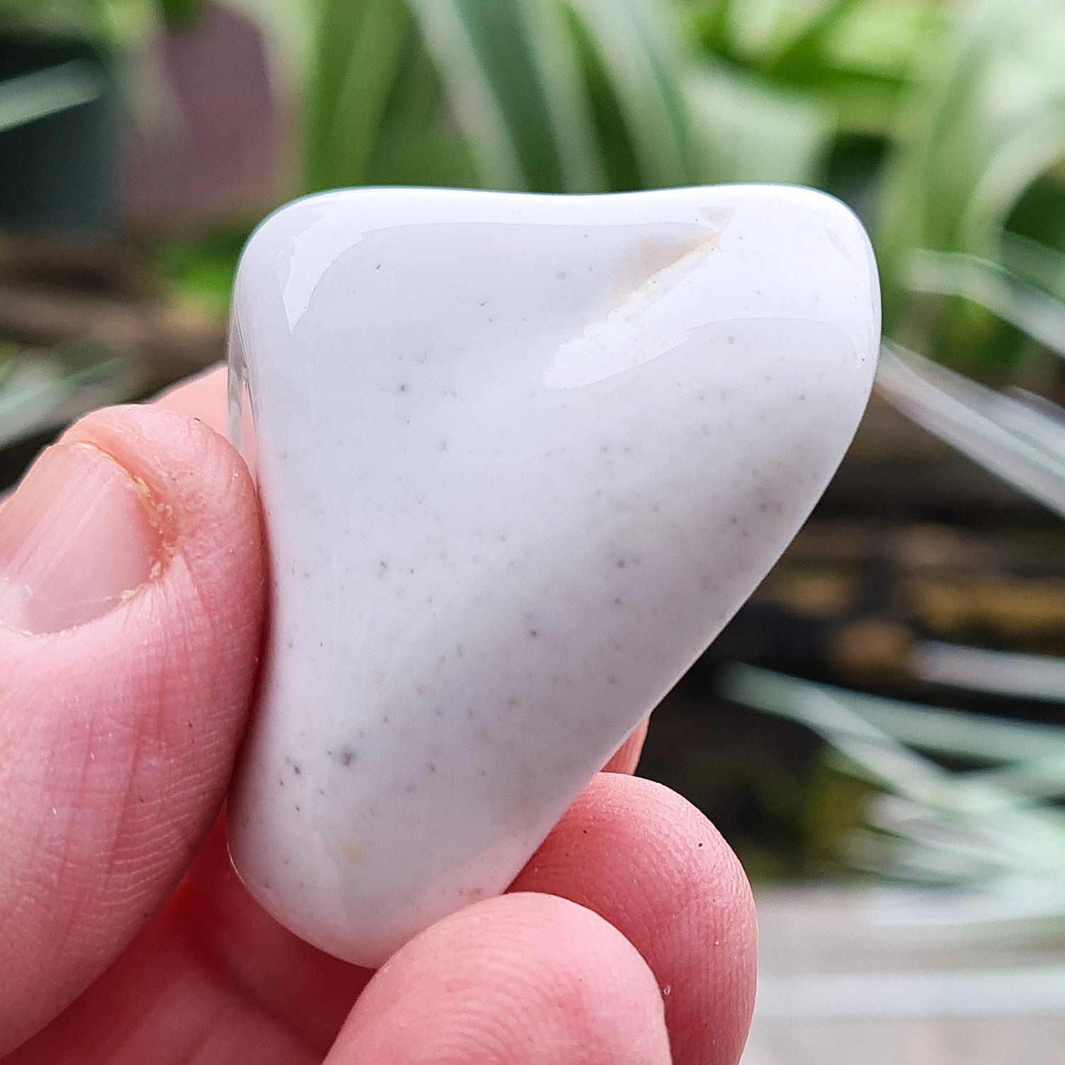 Rare Bohemian Cacholong Opal, creamy white with a pearly sheen, valued for its calming energy and serene beauty.