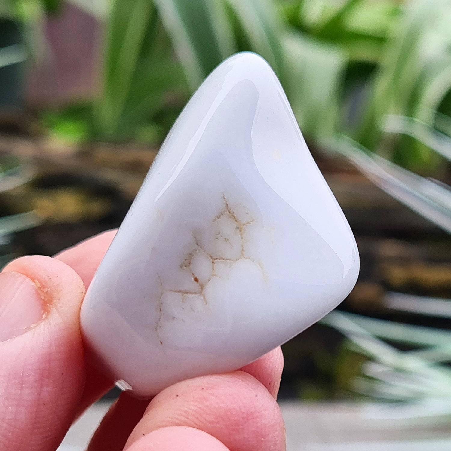 Rare Bohemian Cacholong Opal, creamy white with a pearly sheen, valued for its calming energy and serene beauty.