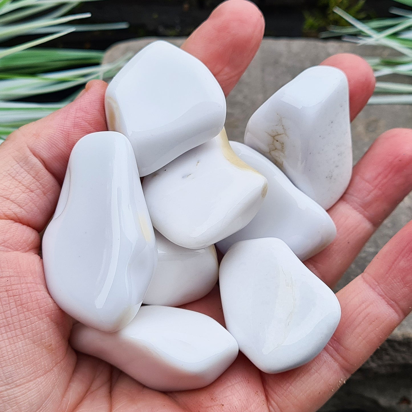 Rare Bohemian Cacholong Opal, creamy white with a pearly sheen, valued for its calming energy and serene beauty.