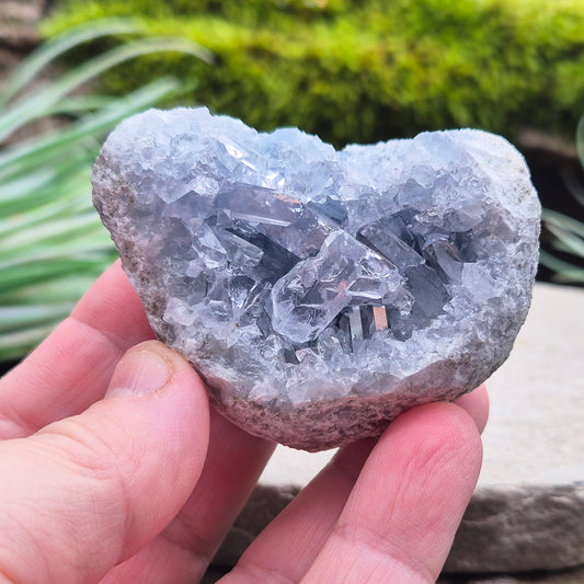 Celestite Crystal Cluster from Madagascar. This cluster has lovely sparkling sky blue celestite crystals on its almost half geode shaped base. Also known as Celestine.