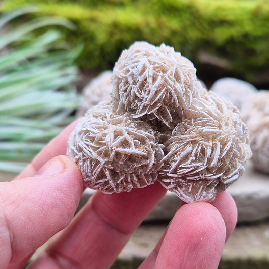 Desert Rose: Boost clarity, release negativity, and calm emotions. Grounding energy enhances focus, spiritual connection, and inner peace.