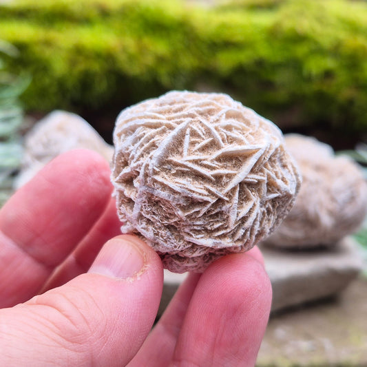 Desert Rose promotes grounding, emotional stability, and spiritual insight while clearing negativity and nurturing inner peace.