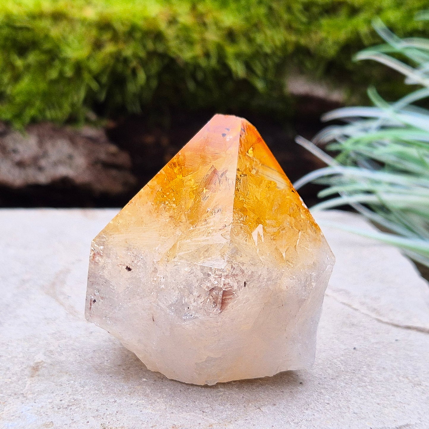 Citrine Crystal Standing Point from Brazil. Has light reflecting inclusions at the tip. 