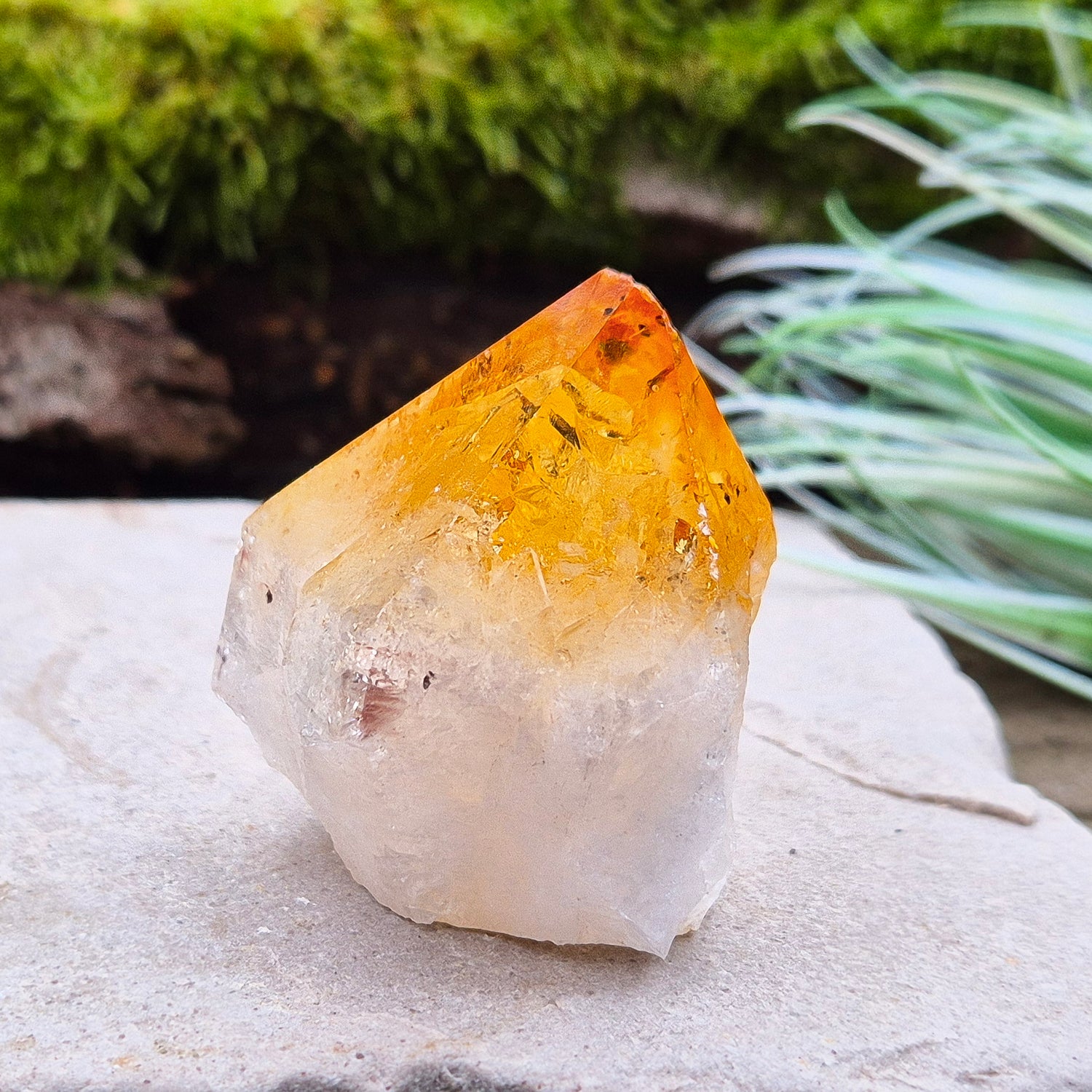 Citrine Crystal Standing Point from Brazil. Has light reflecting inclusions at the tip. 