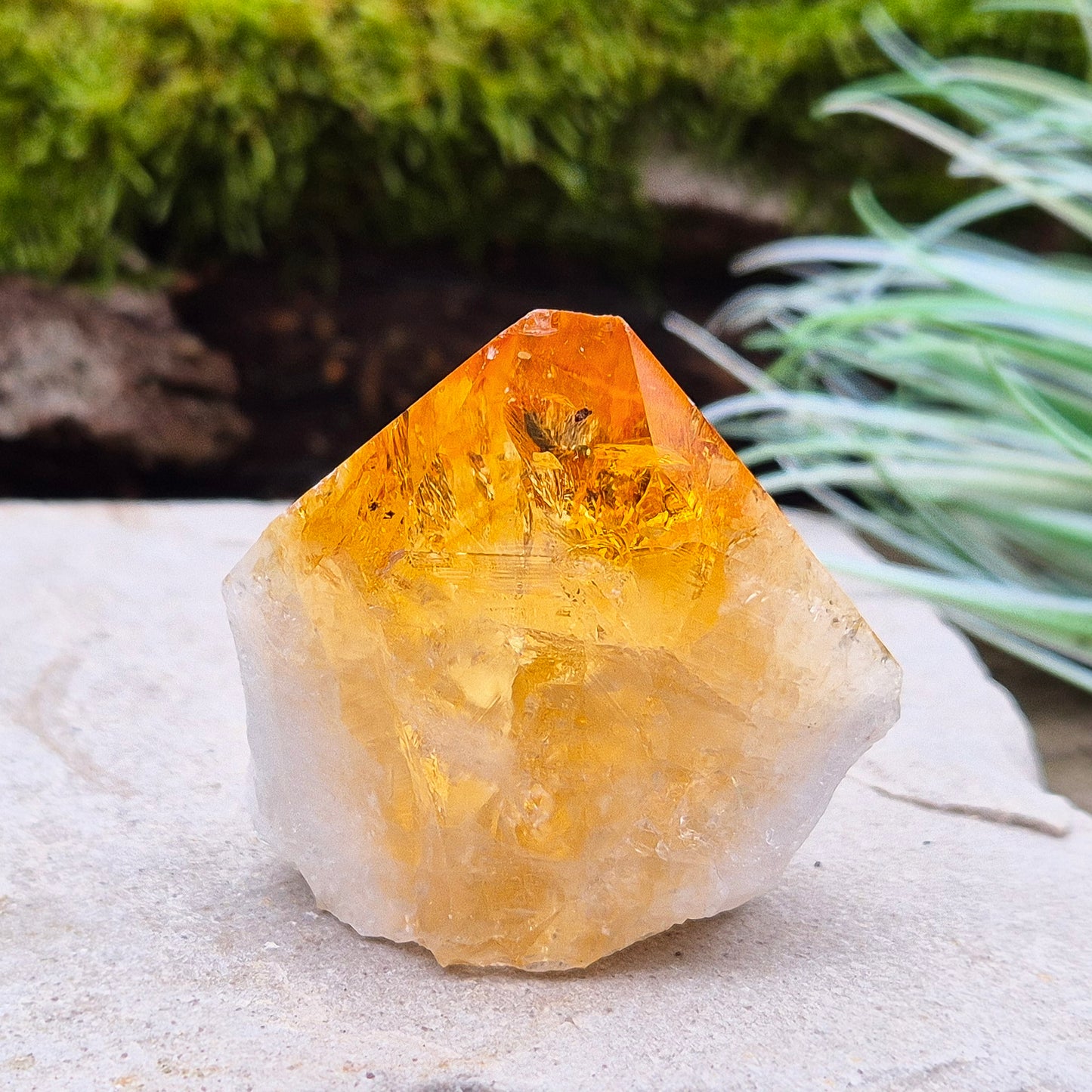 Citrine Crystal Standing Point from Brazil. Has light reflecting inclusions at the tip. 