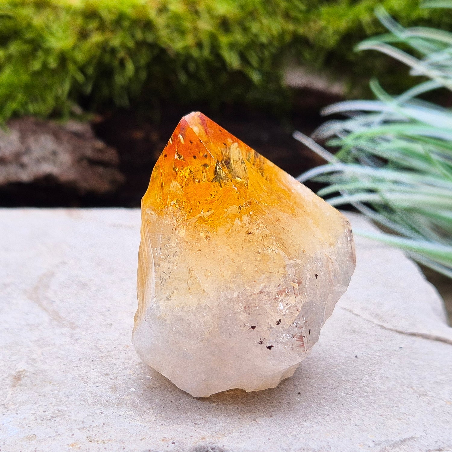 Citrine Crystal Standing Point from Brazil. Has light reflecting inclusions at the tip. 