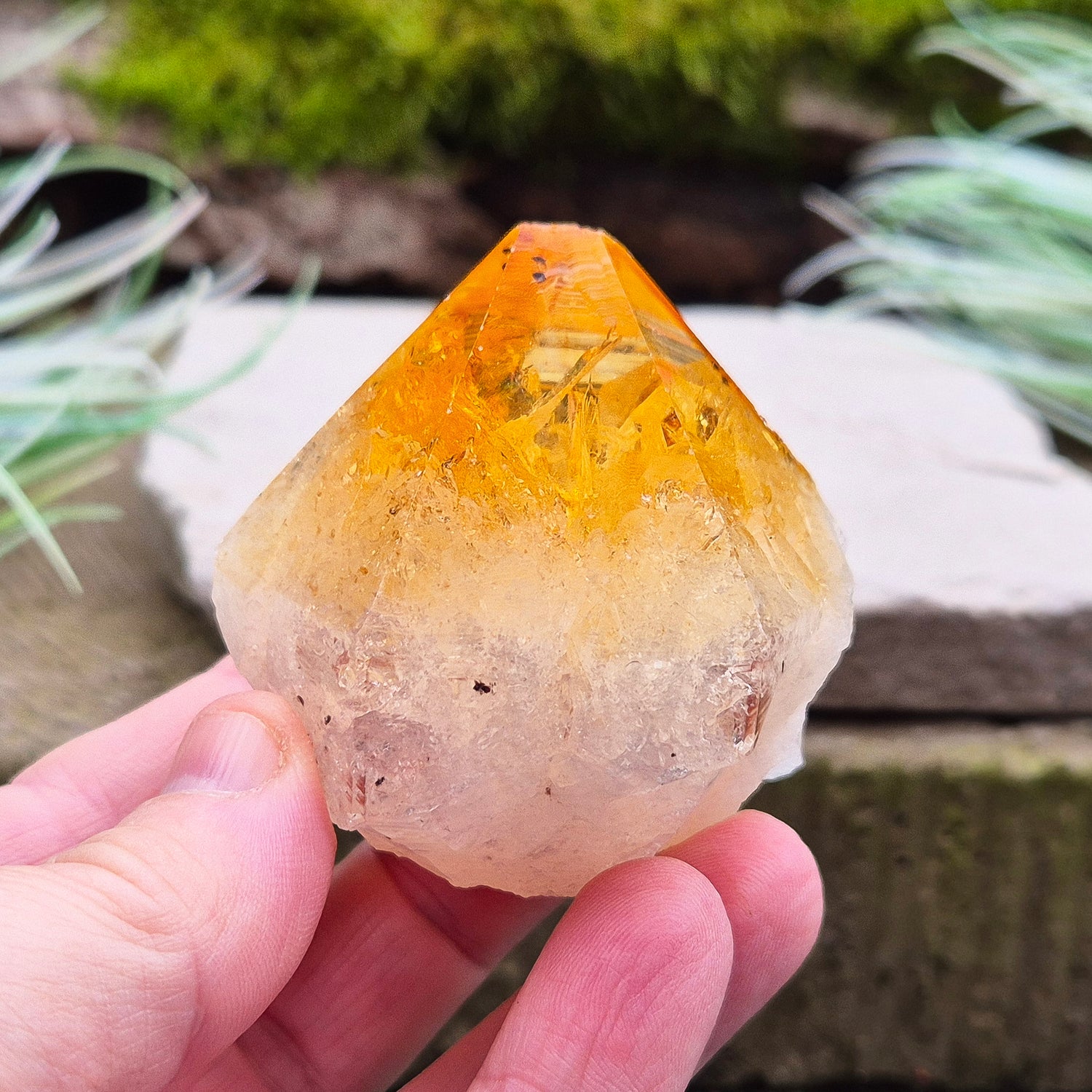 Citrine Crystal Standing Point from Brazil. Has light reflecting inclusions at the tip. 