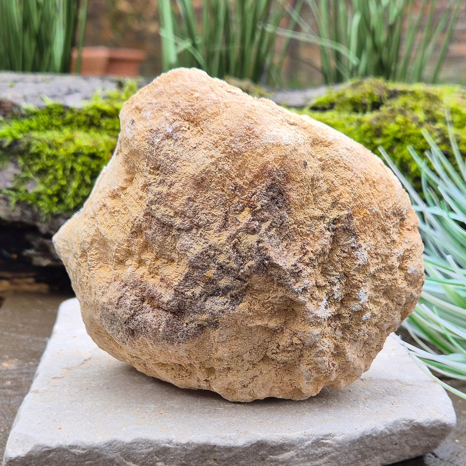 White Quartz Crystal Geode half section, from Morocco. Lovely sparkling white quartz crystal formations and also has 2 areas where there looks to be black quartz