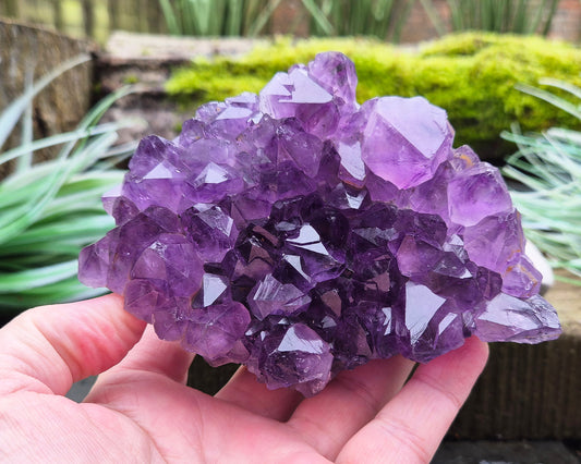 Amethyst Crystal Cluster or Amethyst Crystal Druze from Brazil. A grade. The amethyst points on this cluster are a lovely dark purple colour. 