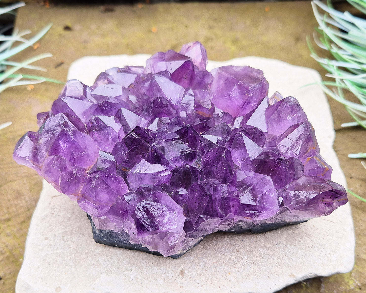 Amethyst Crystal Cluster or Amethyst Crystal Druze from Brazil. A grade. The amethyst points on this cluster are a lovely dark purple colour. 