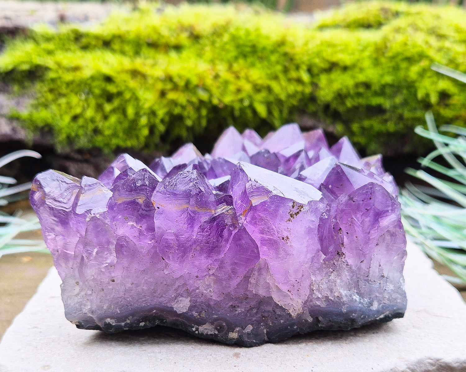 Amethyst Crystal Cluster or Amethyst Crystal Druze from Brazil. A grade. The amethyst points on this cluster are a lovely dark purple colour. 