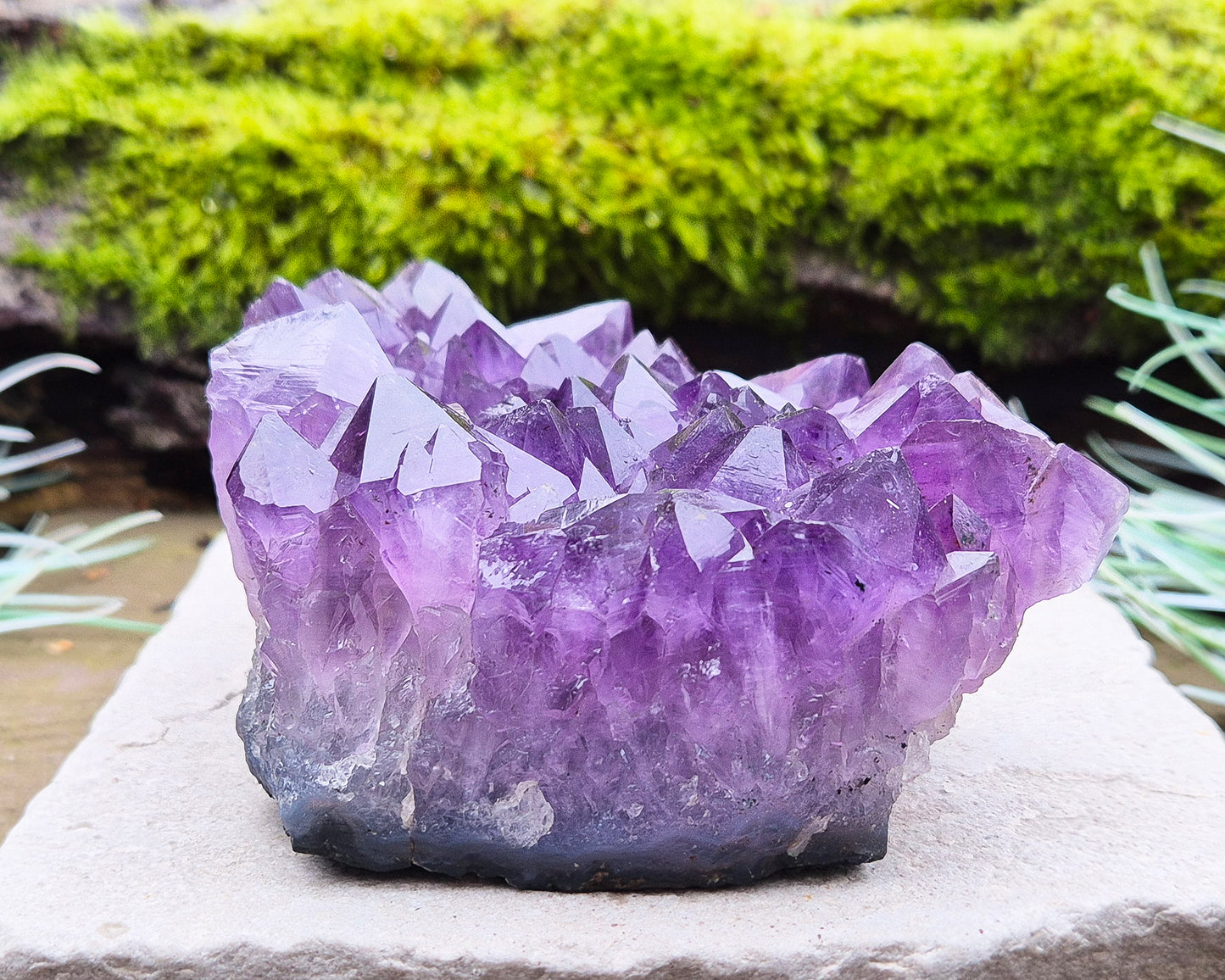 Amethyst Crystal Cluster or Amethyst Crystal Druze from Brazil. A grade. The amethyst points on this cluster are a lovely dark purple colour. 