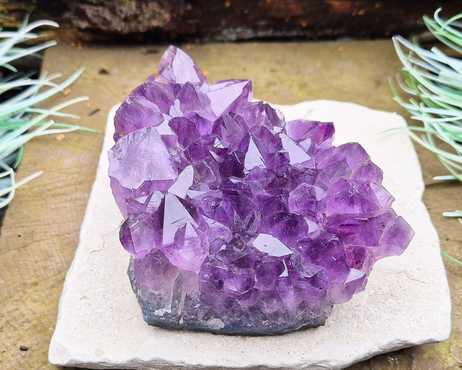 Amethyst Crystal Cluster or Amethyst Crystal Druze from Brazil. A grade. The amethyst points on this cluster are a lovely dark purple colour. 