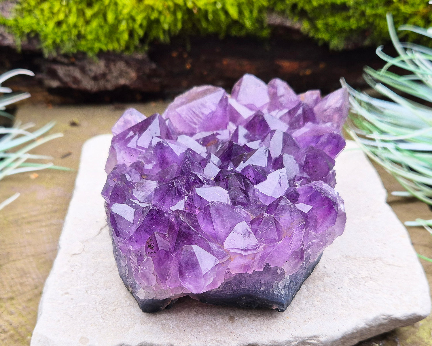 Amethyst Crystal Cluster or Amethyst Crystal Druze from Brazil. A grade. The amethyst points on this cluster are a lovely dark purple colour. 