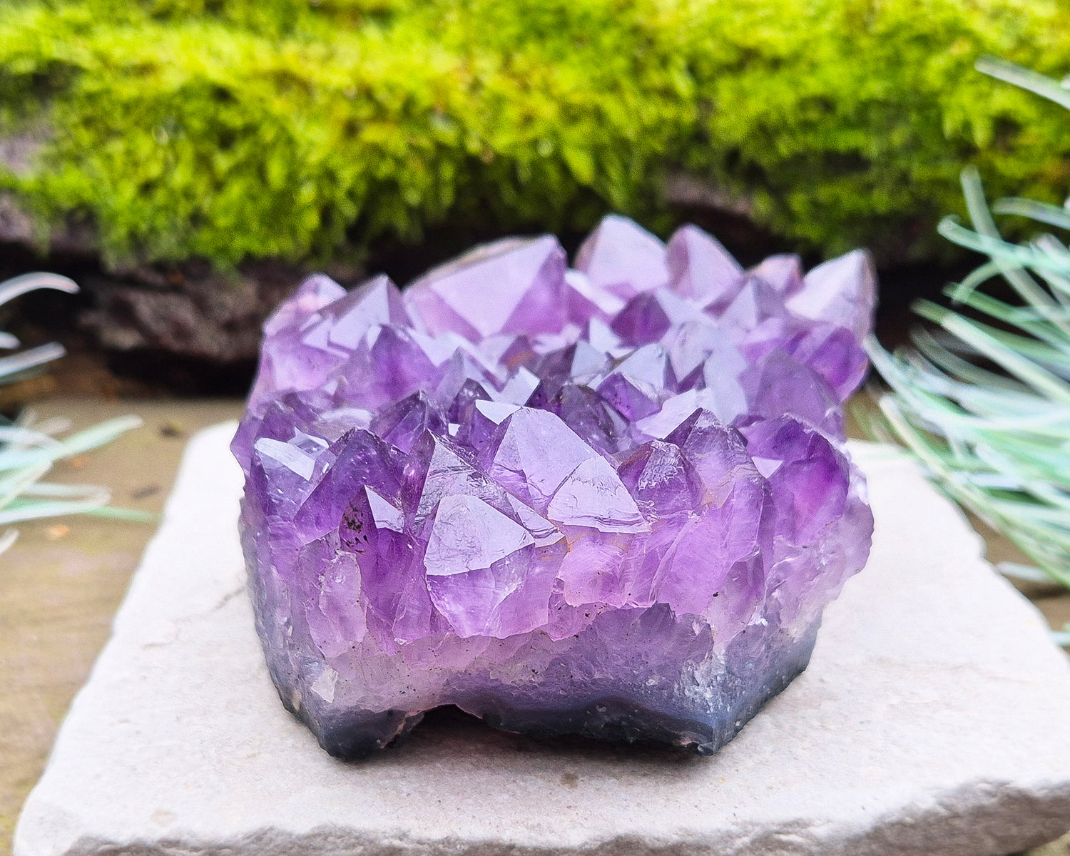 Amethyst Crystal Cluster or Amethyst Crystal Druze from Brazil. A grade. The amethyst points on this cluster are a lovely dark purple colour. 