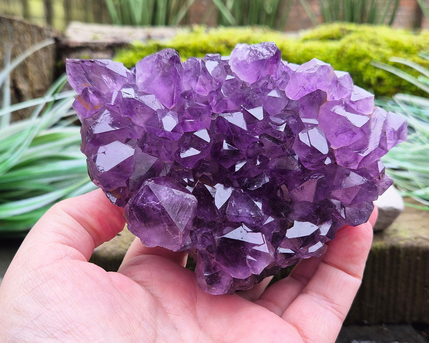 Amethyst Crystal Cluster or Amethyst Crystal Druze from Brazil. A grade. The amethyst points on this cluster are a lovely dark purple colour. 