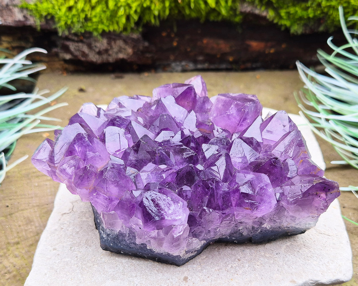 Amethyst Crystal Cluster, Natural