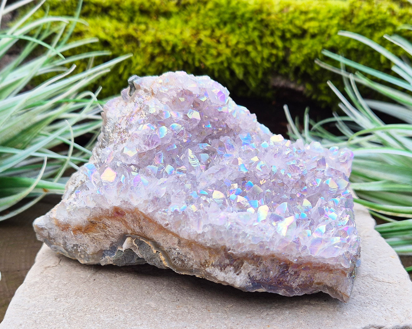 Sparkling Angel Aura Amethyst Crystal Cluster from Brazil. Base is curved but will sit on a flat surace.