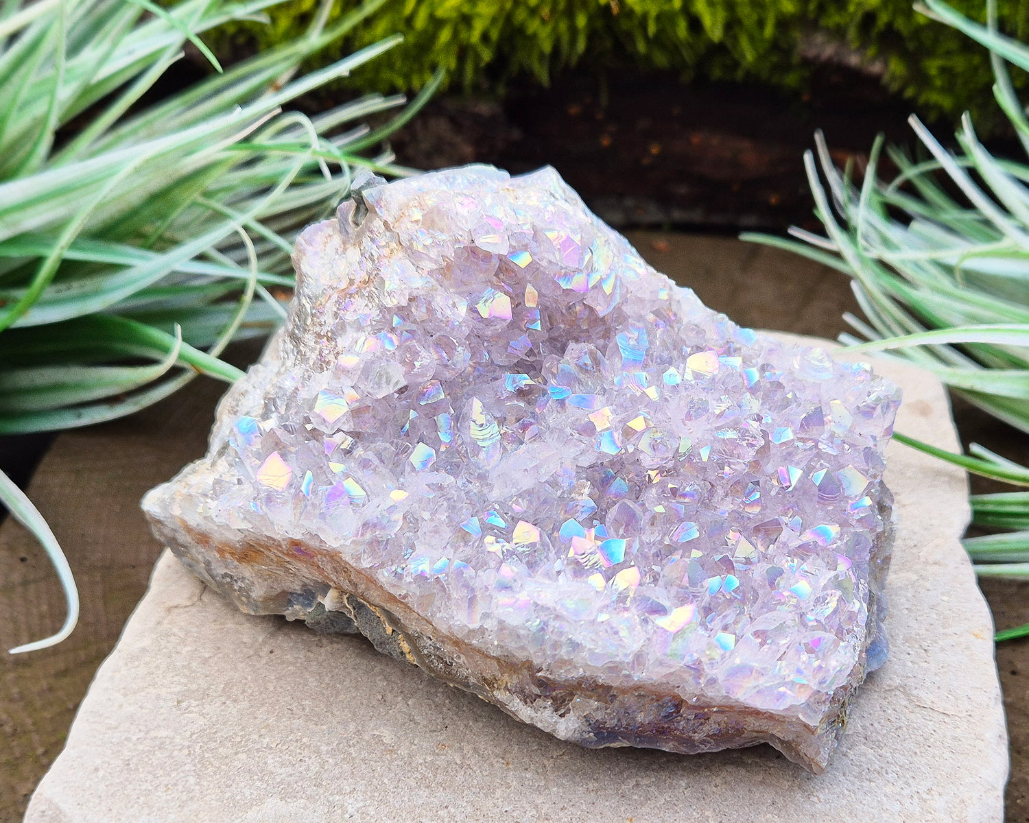 Sparkling Angel Aura Amethyst Crystal Cluster from Brazil. Base is curved but will sit on a flat surace.