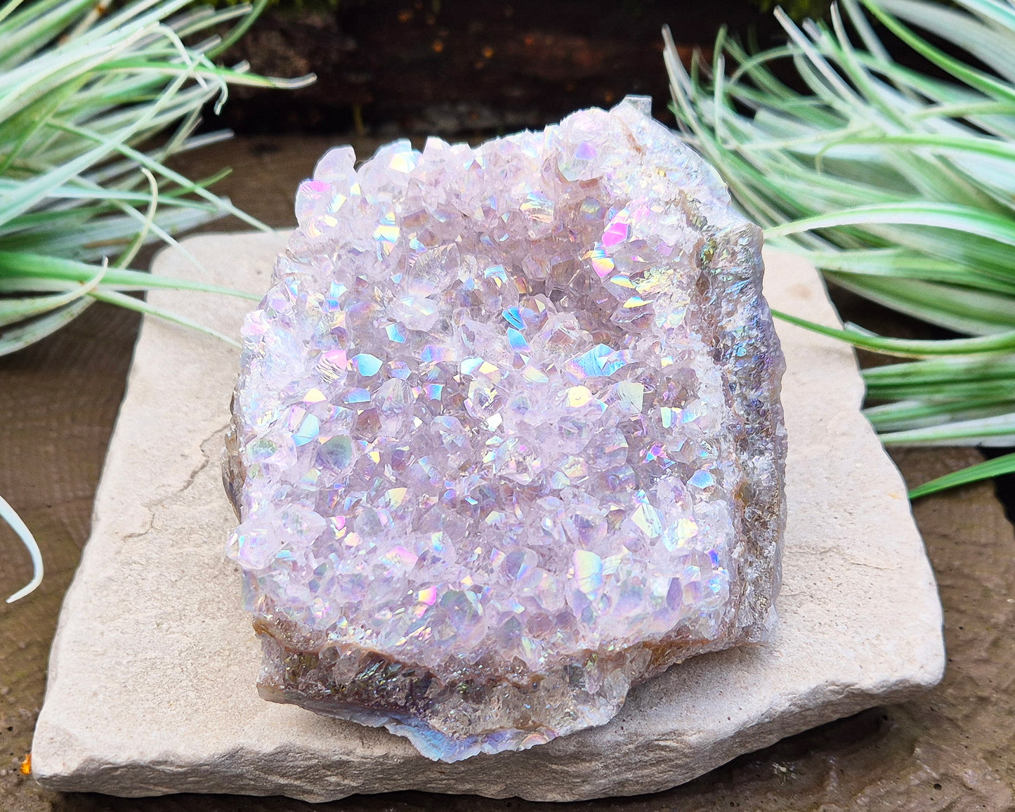 Sparkling Angel Aura Amethyst Crystal Cluster from Brazil. Base is curved but will sit on a flat surace.