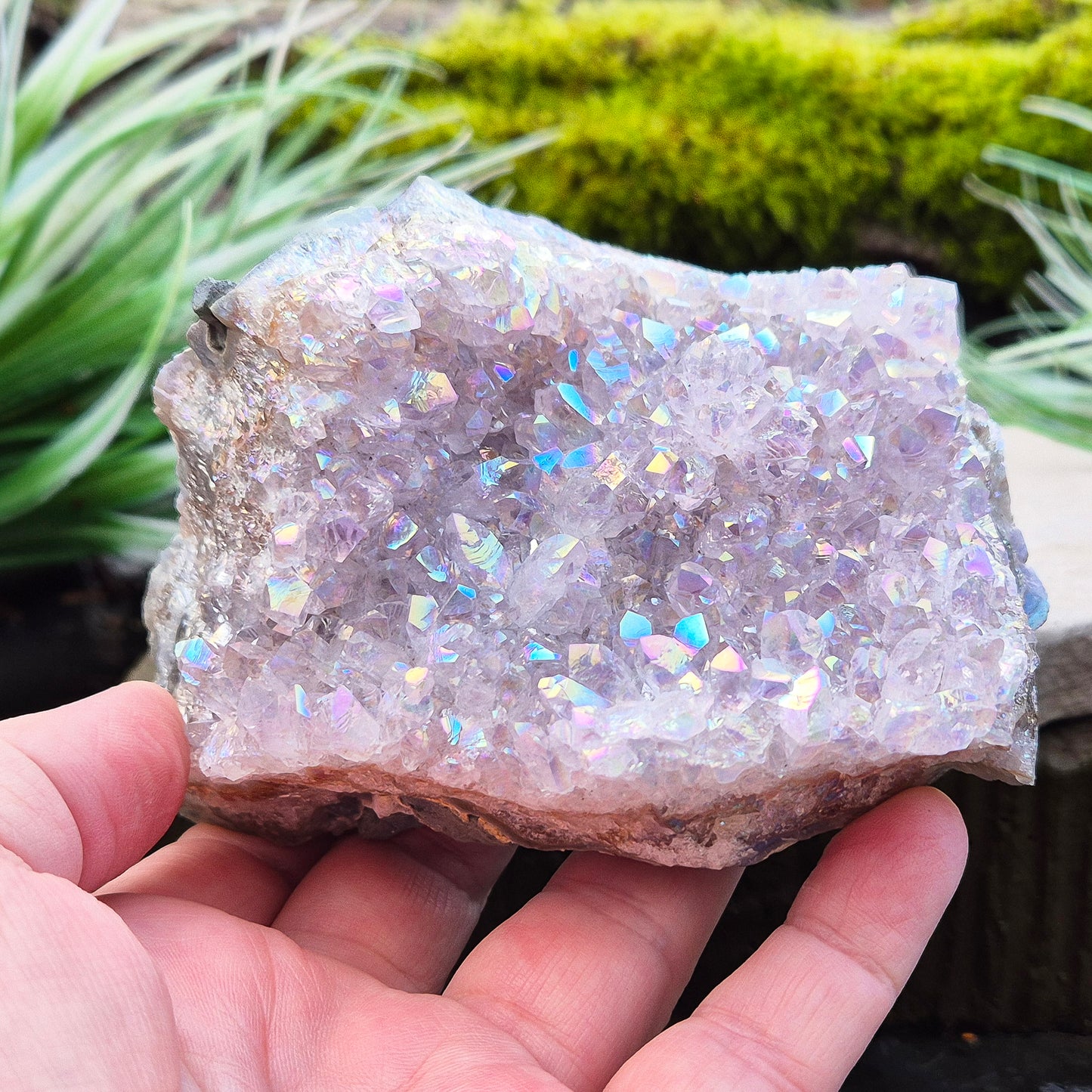 Sparkling Angel Aura Amethyst Crystal Cluster from Brazil. Base is curved but will sit on a flat surace.