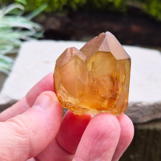 Natural Untreated Citrine Point from Northern Zambia, and has a nice dark honey colour and double points.
